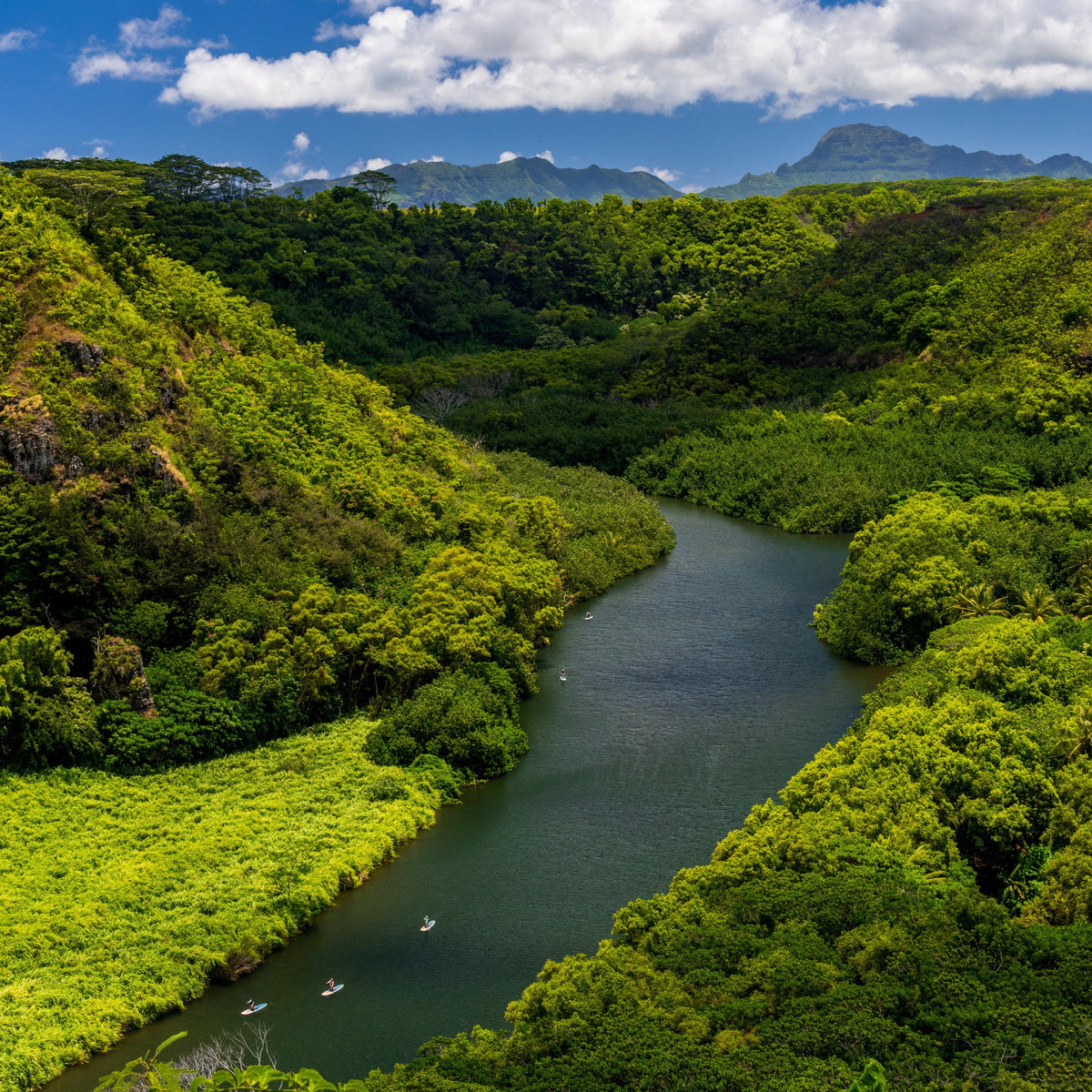 Wailua River Kayak Rental · Bring Me Rentals