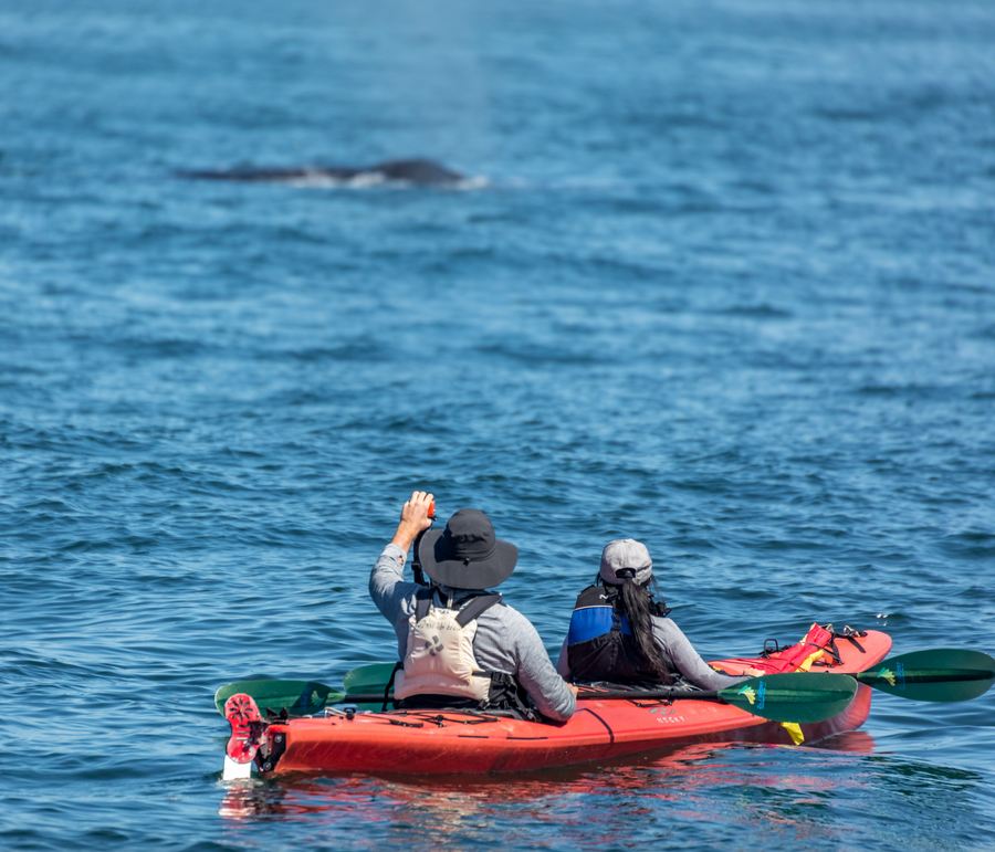 Maui Multi-Day Kayak Rental